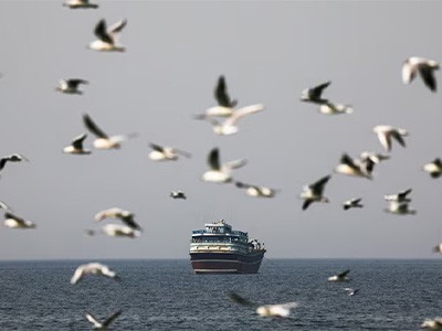 Коммерческое хранение энергии, Ближний Восток, 2026 г.